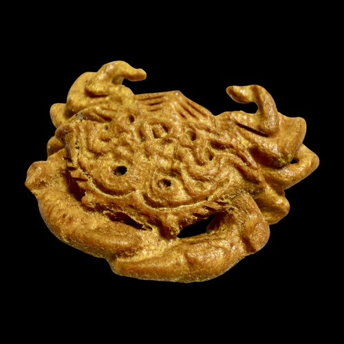 ปูทองทศกัณฐ์ Thotsakan Golden Crab 5