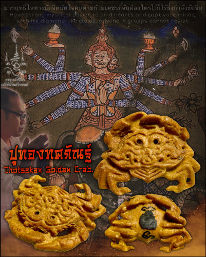 ปูทองทศกัณฐ์ Thotsakan Golden Crab
