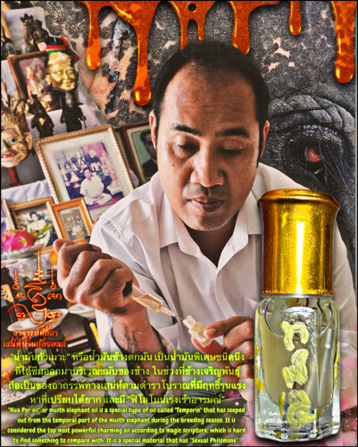 น้ำมันกั่วเผาะอัปสรพลีกาย (รุ่น.3) Mighty Musth Elephant Oil. (3rd batch)