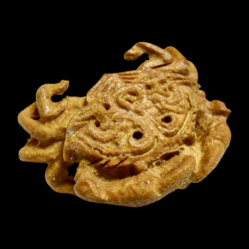 ปูทองทศกัณฐ์ Thotsakan Golden Crab 6