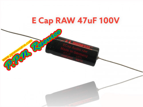 E-CAP RAW 47UF 100V