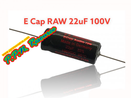E-CAP RAW 22UF 100V