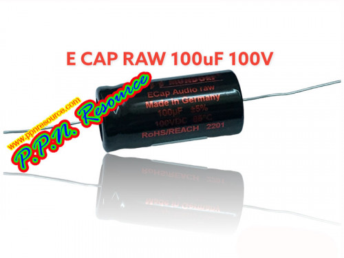 E-CAP RAW 100UF 100V