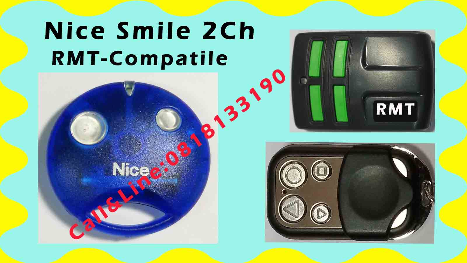 Nice Smile  Auto-Gate 2Channel