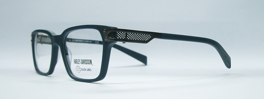 แว่นตา HARLEY DAVIDSON HD1029 สีเทา 2