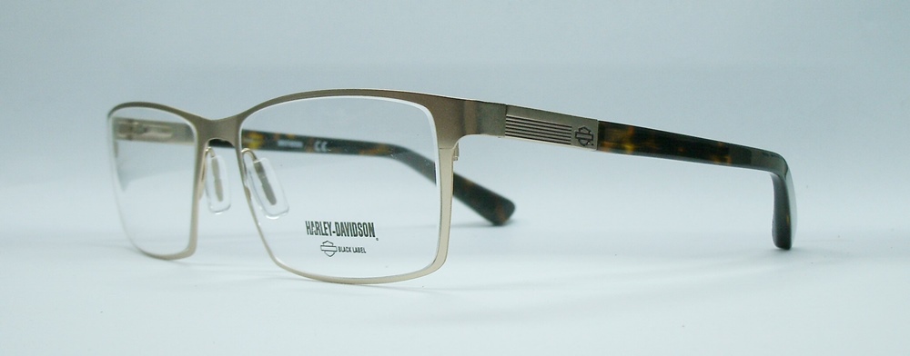 แว่นตา HARLEY DAVIDSON HD1034 สีทอง 2