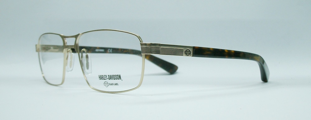 แว่นตา HARLEY DAVIDSON HD1035 สีทอง 2