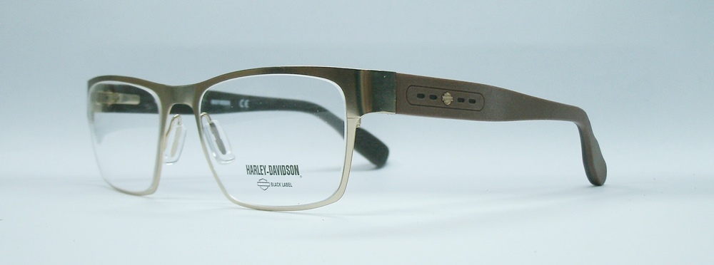 แว่นตา HARLEY DAVIDSON HD1036 สีทอง 2