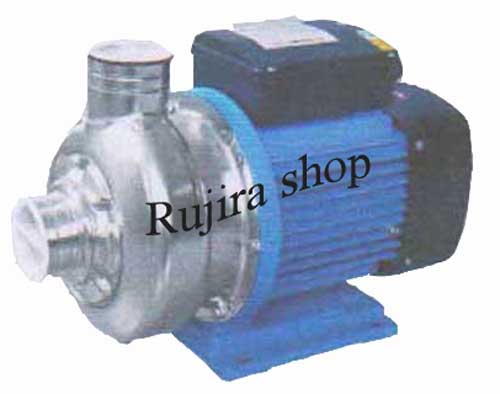 ปั๊มน้ำหอยโข่งสแตนเลส ยี่ห้อRowel รุ่นDWB300/1.5