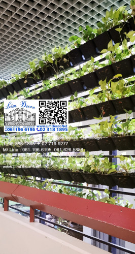 ซุ้มโค้งเหล็กดัด ตกแต่งสวน LD-F018  Arch Metal Steel Fence for Garden Decoration 2