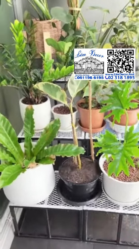 ซุ้มโค้งเหล็กดัด ตกแต่งสวน LD-F018  Arch Metal Steel Fence for Garden Decoration 3