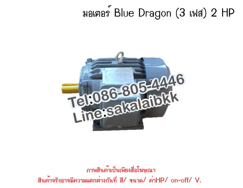 มอเตอร์ Blue Dragon (3 เฟส) 2 HP