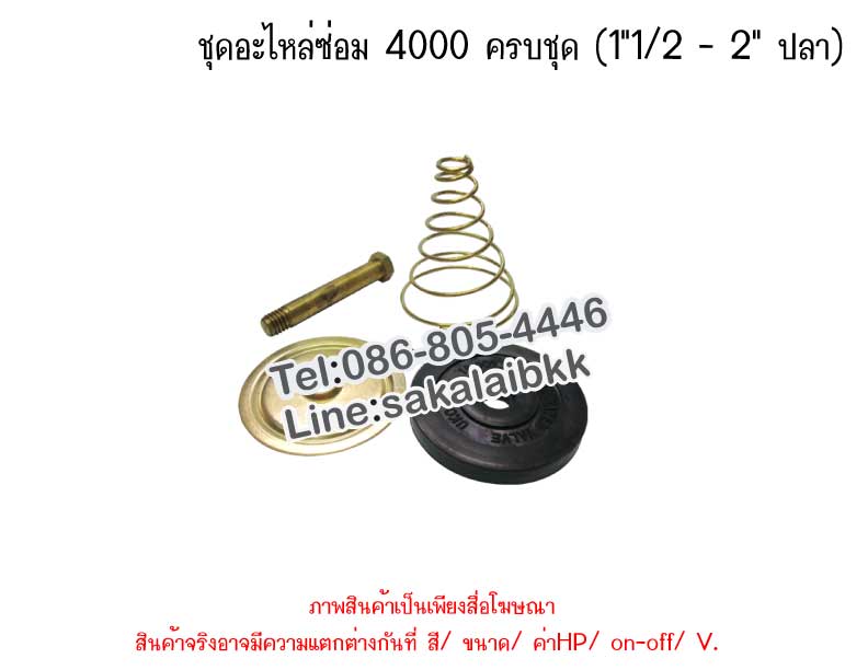 ชุดอะไหล่ซ่อม 4000 ครบชุด (1 นิ้ว 1/2 - 2quot; ปลา)