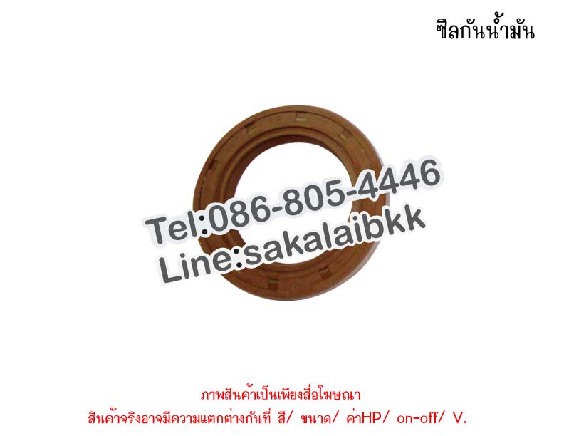 ซีลกันน้ำมัน