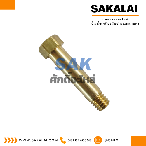 น๊อตทองเหลืองแกนยึดสปริงปั๊มชัก 1