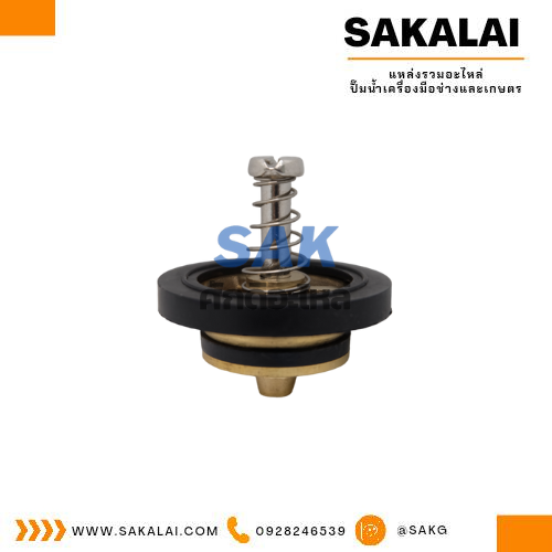 วาวล์กันน้ำกลับ 25-1 backflow valves