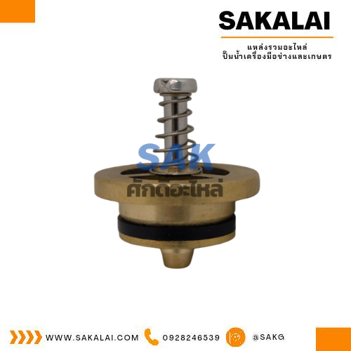วาวล์กันน้ำกลับ 25 backflow valves
