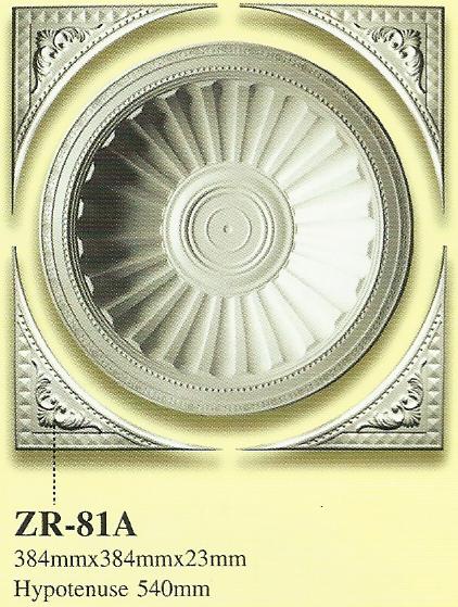 ZR81A