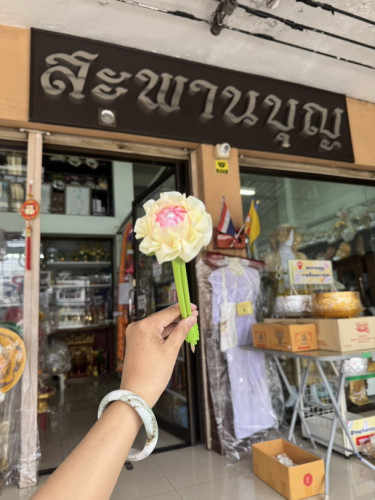 ไม้กฐิน ไม้แบงค์ ไม้เสียบเงินกฐิน ไม้บัวสวรรค์   โปรยทานสวยๆ  ทำพุ่มกฐิน 1