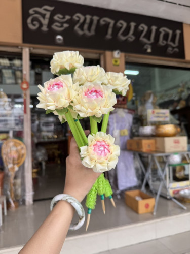 ไม้กฐิน ไม้แบงค์ ไม้เสียบเงินกฐิน ไม้บัวสวรรค์   โปรยทานสวยๆ  ทำพุ่มกฐิน