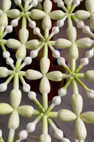 สัปทนร้อยดอกพุด สัปทนดอกรัก ร่มดอกไม้ ร่มกฐินงานละเอียด หัตถกรรมไทยโบราณ กว่า 2 หมื่นดอก 7