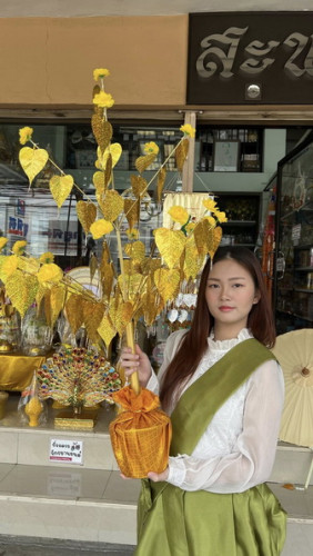 ต้นไม้ใบโพธิ์กฐิน  พร้อมกระถาง รุ่นพับได้ ขนาด 1 เมตร  85  ใบไม้สวย( ต้นโพธิ์กฐิน  ต้นกฐิน ต้นผ้าป่า