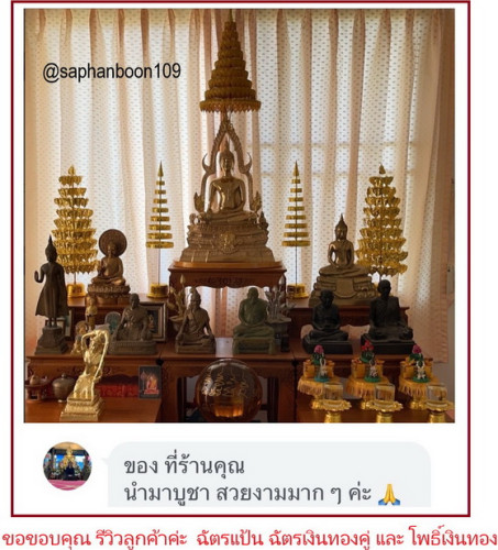 ต้นโพธิ์เงินโพธิ์ทอง สำหรับตั้งศาลพระภูมิหรือ หิ้งพระ  โพเงินโพทอง 1