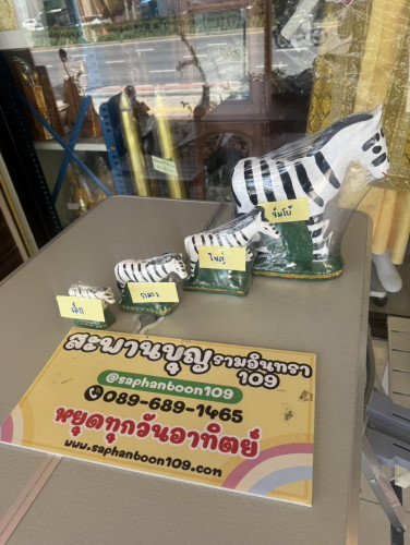 ม้าลายแก้บน ม้าลายถวายศาล  วางศาล