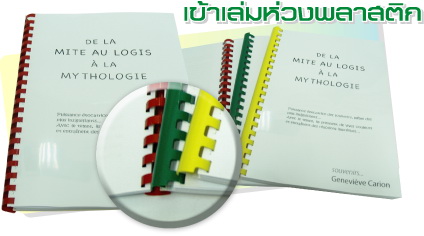 เครื่องเข้าเล่มไฟฟ้า Fellowes รุ่น  Pulsar E 300 (พลูซ่า E 300) 3