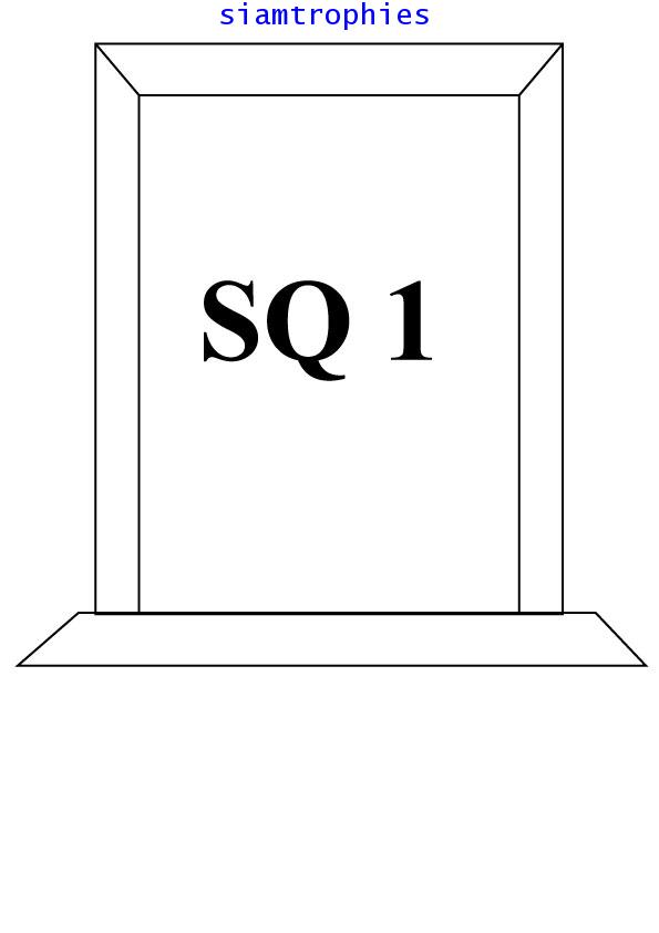 SQ 1