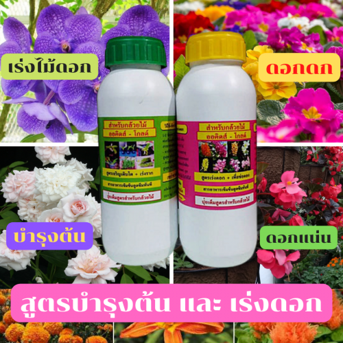 ปุ๋ยกล้วยไม้ออคิดส์-โกลด์