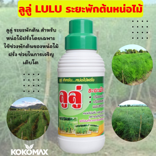 ลูลู่ ระยะพักต้น สำหรับหน่อไม้ฝรั่งโดยเฉพาะ