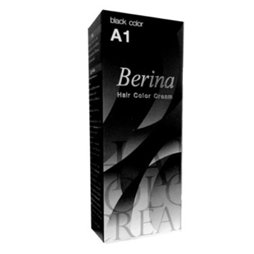 Berina - A1 สีดำประกายครีมเปลี่ยนสีผมเบอริน่า สีดำประกาย W.200 รหัส.H232