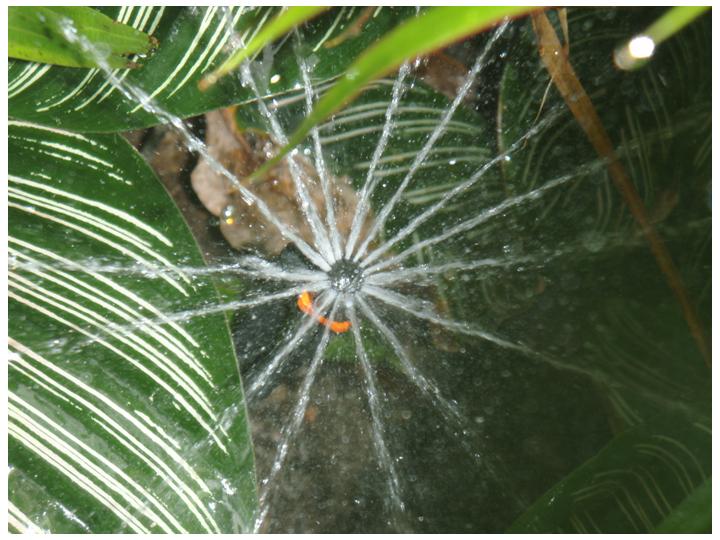 หัวฉีดสเปร์ย NS 360 1