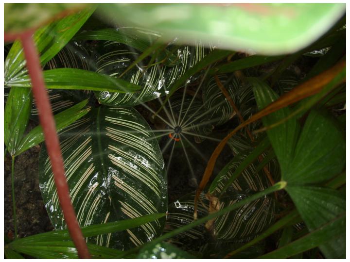 หัวฉีดสเปร์ย NS 360 2