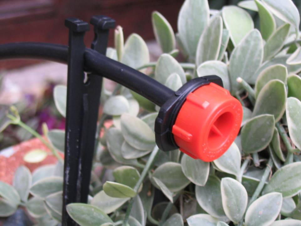 หัวน้ำหยด PRO DRIP 1