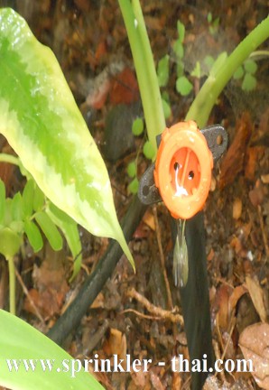 หัวน้ำหยด PRO DRIP 2