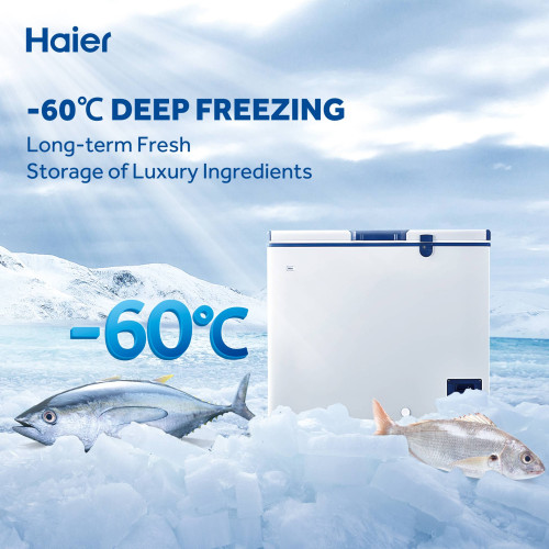 ตู้แช่แข็ง HAIER ไฮเออร์ HCF-200DP60 *อุณหภูมิ -60 องศาเซลเซียส* ความจุ 5.3 คิว / 151 ลิตร 2