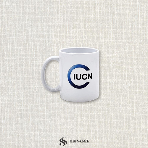 แก้วกาแฟเซรามิคสีขาวทรงมาตรฐาน รหัส A2513-16PS