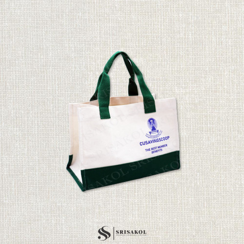 Small Canvas bag กระเป๋าผ้าแคนวาส หูสายสปัน รหัส A2602-6B