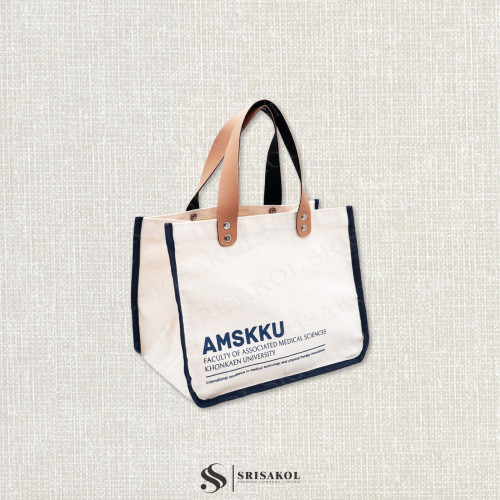 Small Canvas bag กระเป๋าผ้าแคนวาส หูหนังเทียม รหัส A2602-2B