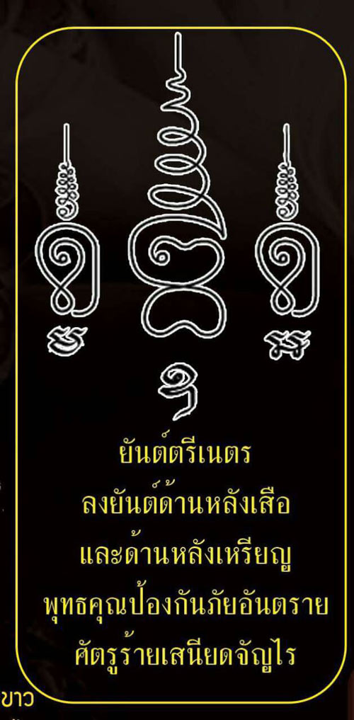 เหรียญพยัคฆ์ เนื้อฝาบาตรลงยา 6 เหรียญ (6 สี) {ปล่อยขาดทุน !!} 1