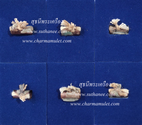 ตะกรุดหัวใจนกยูงทองมหาเศรษฐี 1.4 ซ.ม. ชุดเหมา 48 ดอก {ปล่อยขาดทุน..ราคาถูกสุดๆๆ !!} 2