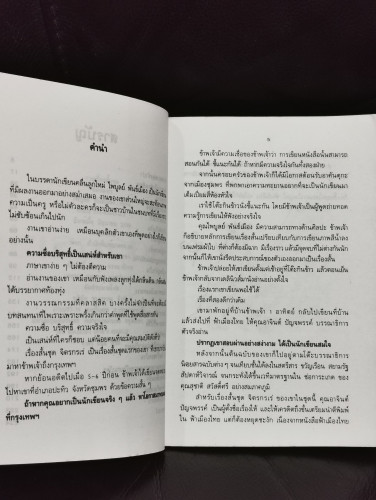 จิตรกรเร่ / ไพบูลย์ พันธ์เมือง 6