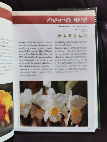 ไม้ดอกหอม (Fragrant and Aromatic Plants) / ดร.ปิยะ เฉลิมกลิ่น 7