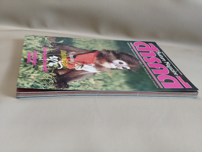 นิตยสารสารคดี ฉบับที่ 54 แหม่มเลียวนี่ , หุ้น , นกแว่น 4