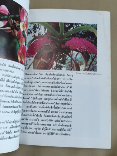 พยาธิกถา ที่ระลึกเนื่องในงานครบรอบวันเกิด 76 ปี พลตรี ม.ร.ว.คึกฤทธิ์ ปราโมช 8