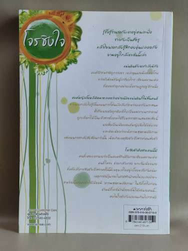 โจรชิงใจ / เชียนสวิน (Qian Xun) แปลโดย Honey Toast 1