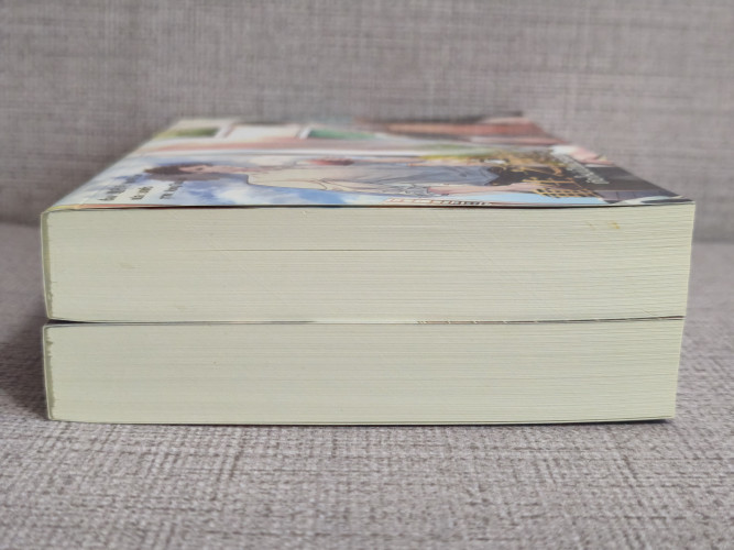 เกิดใหม่เป็นเน็ตไอดอล 2 เล่มจบ (ที่คั่น + โปสการ์ด) / Yao Ri Yue แปลโดย นกแก้ว 5