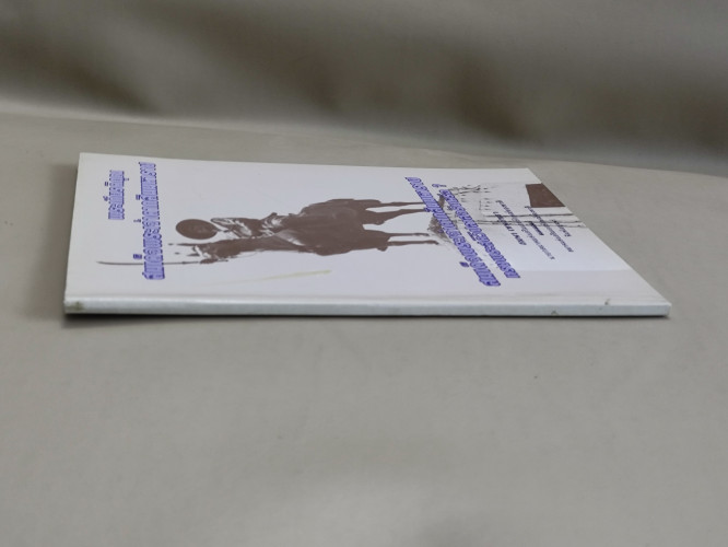 พระเกียรติคุณสมเด็จพระเจ้าตากสินมหาราช , สมเด็จพระเจ้าตากสินมหาราชทรงพระสติวิปลาสจริงหรือ? 2